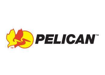 Pelican