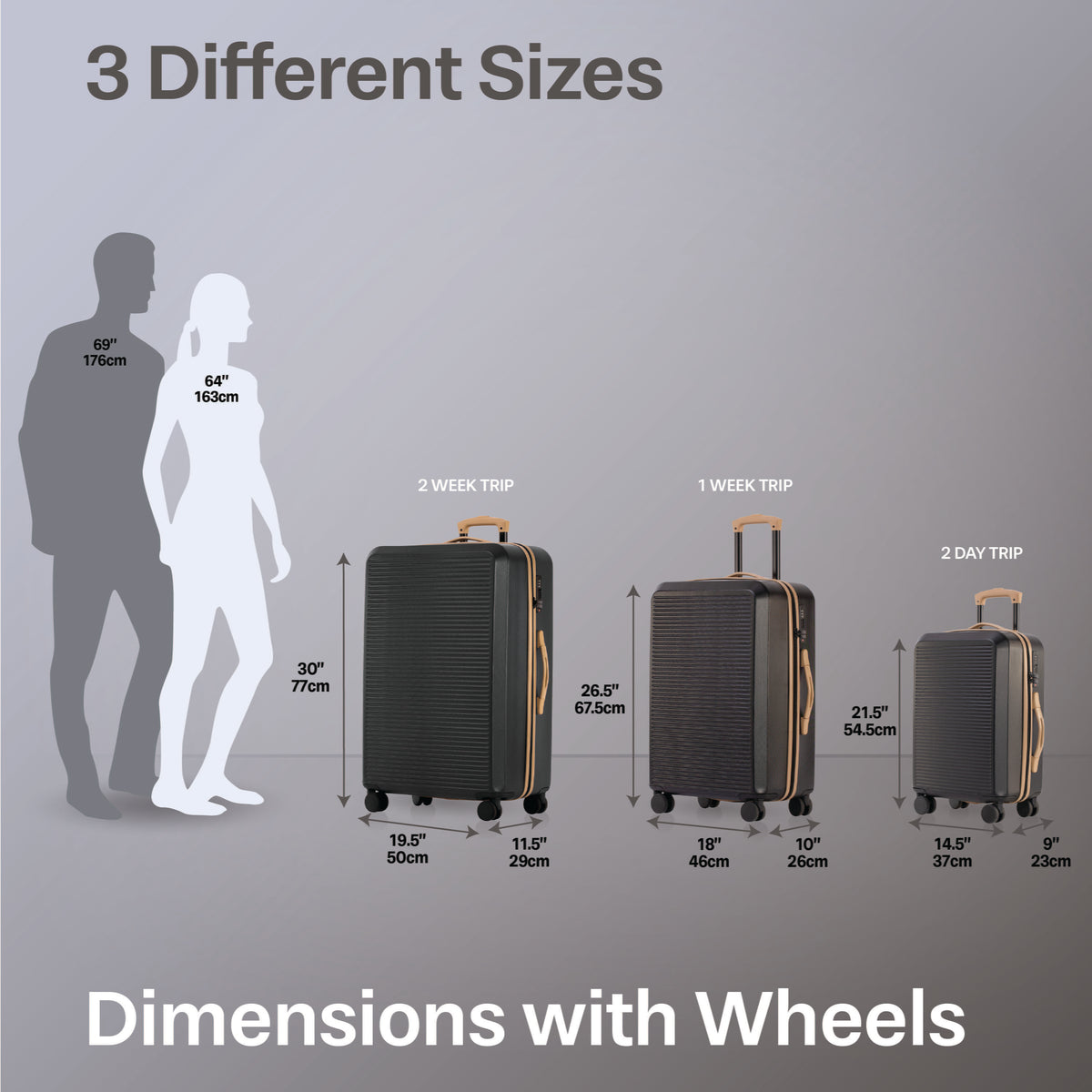 Jetstream Luggage Jetstream Studio Collection 3-Piece Luggage Set