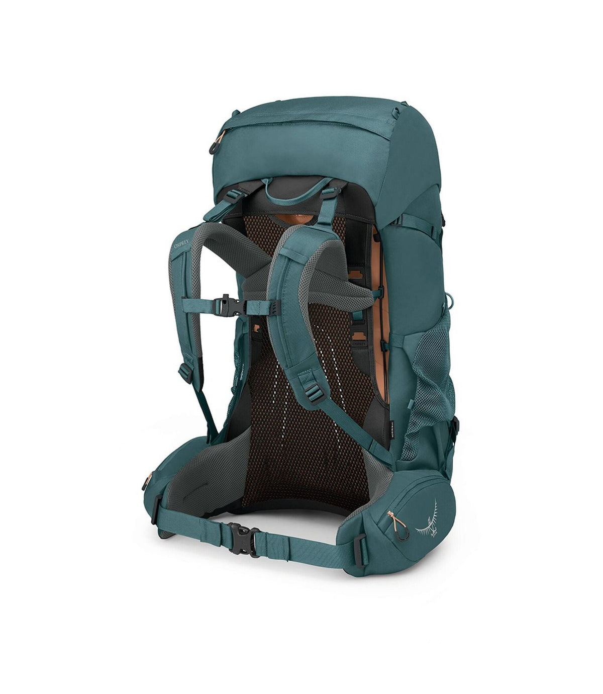 Osprey Backpacks Osprey Renn 65L