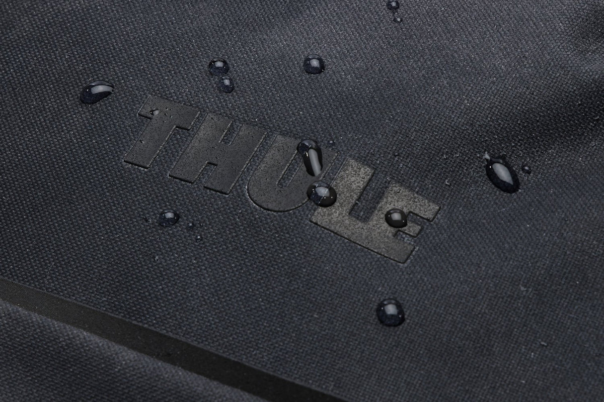 Thule Luggage Black Thule Aion Carry On Spinner Luggage - Black