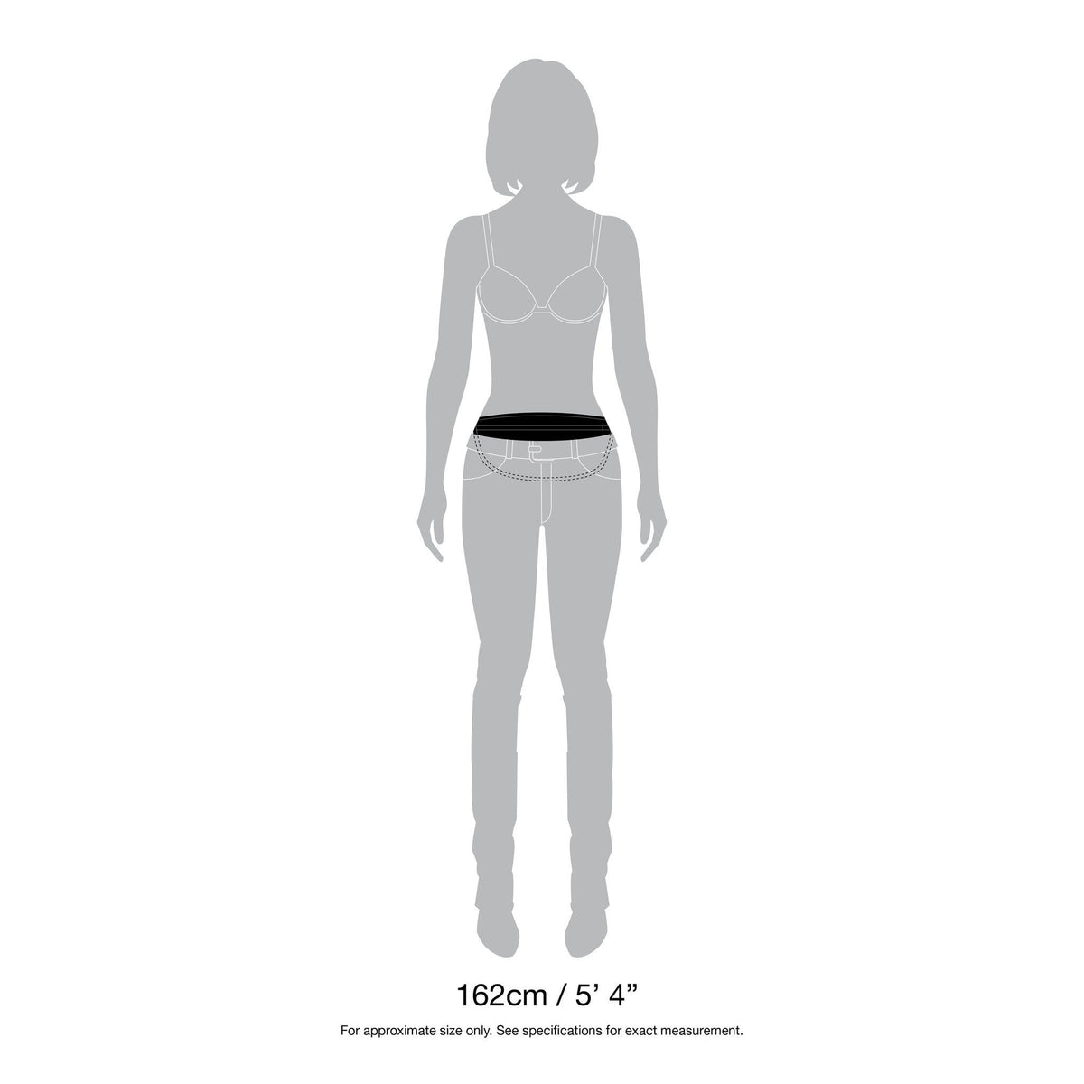 Pacsafe Waist Pouches Pacsafe Coversafe™ S100 Secret Travel Waist Pouch